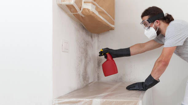 Professional Mold Removal technician working in Blue Point, NY